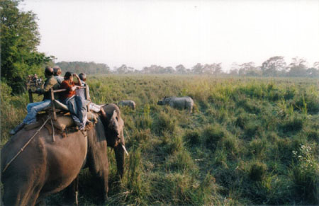 Chitwan