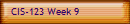 CIS-123 Week 9