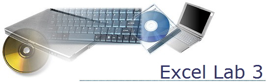 Excel Lab 3